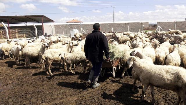 80 bin lira maaş var ama &ccedil;oban yok, G&ouml;rsel 4