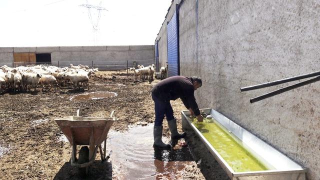 80 bin lira maaş var ama &ccedil;oban yok, G&ouml;rsel 1