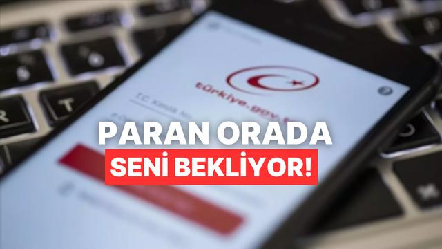 E-Devlet Üzerinden Finansal Durum Kontrolü Nasıl Yapılır?