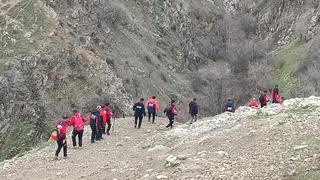 4 yaşındaki Rabi için seferber olundu! Bitlis'te kaybolan çocuğu 250 kişilik ekip arıyor