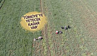 'Beyaz altın' deniyor: Korku ortadan kalktı, beklenti arttı