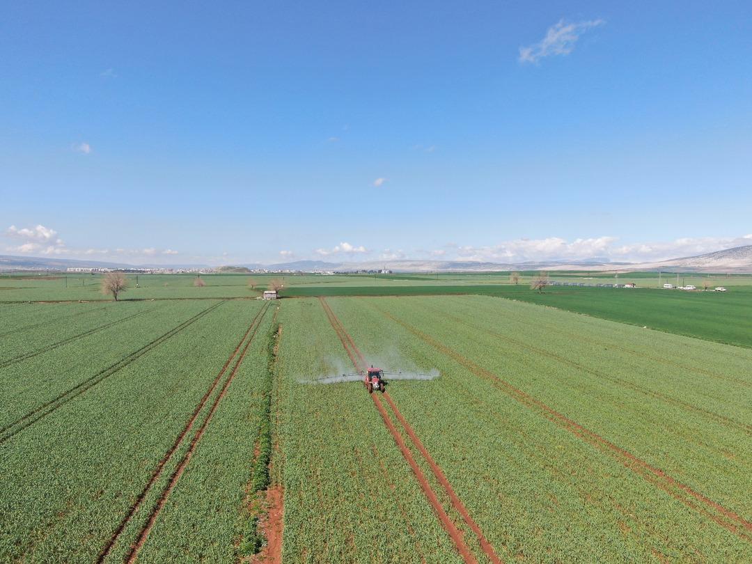  Beyaz altın  deniyor: Korku ortadan kalktı, beklenti arttı 3