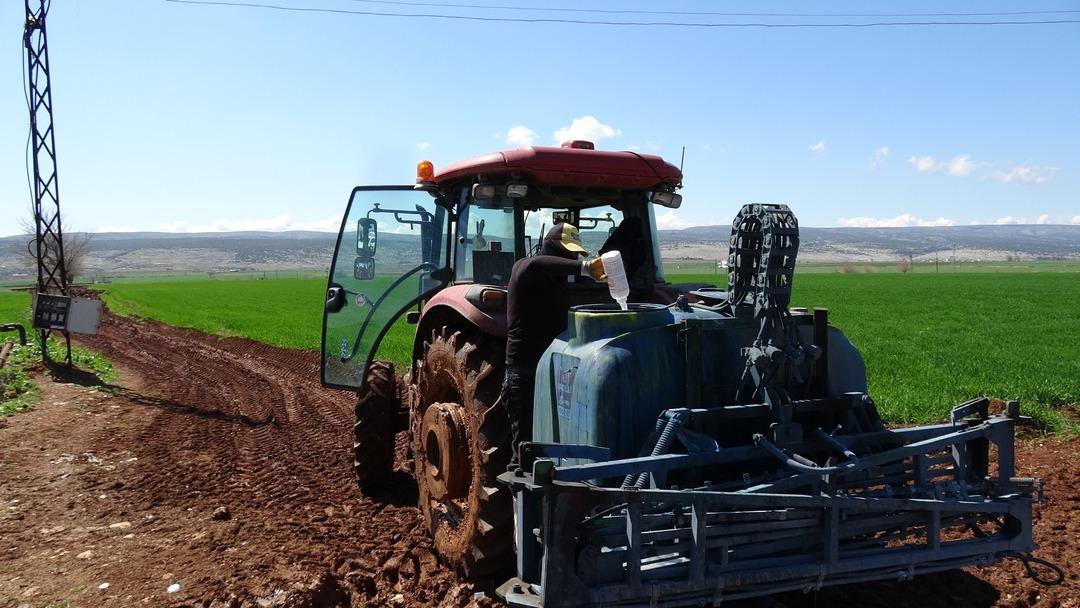  Beyaz altın  deniyor: Korku ortadan kalktı, beklenti arttı 5