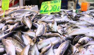 Kilogramı 200 liradan satılıyor! "Bu yaz balıktan &uuml;mitliyiz"