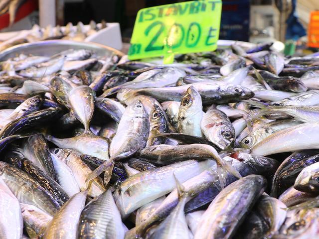 Kilogramı 200 liradan satılıyor! "Bu yaz balıktan &uuml;mitliyiz"