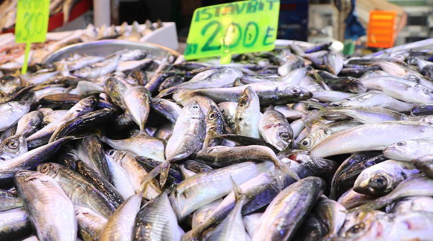 Kilogramı 200 liradan satılıyor! "Bu yaz balıktan &uuml;mitliyiz"
