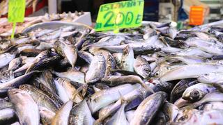 Kilogramı 200 liradan satılıyor! Bu yaz balıktan ümitliyiz