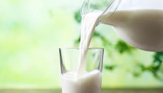 En sağlıklı s&uuml;t t&uuml;r&uuml; a&ccedil;ıklandı: Manda s&uuml;t&uuml;n&uuml; tahtından etti! 