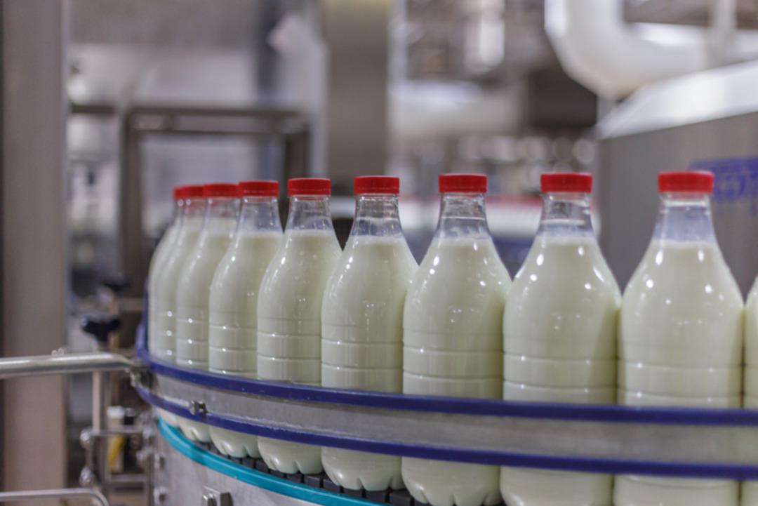 En sağlıklı s&uuml;t t&uuml;r&uuml; a&ccedil;ıklandı: Manda s&uuml;t&uuml;n&uuml; tahtından etti!  3