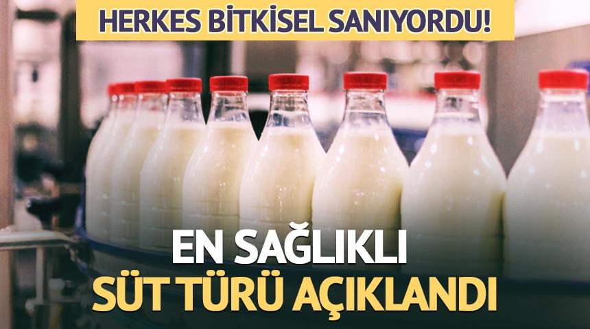 En sağlıklı s&uuml;t t&uuml;r&uuml; a&ccedil;ıklandı: Manda s&uuml;t&uuml;n&uuml; tahtından etti! 