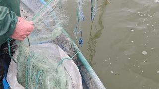 Çorum'da 800 metre balık ağı ele geçirildi