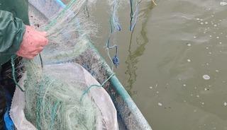 &Ccedil;orum'da 800 metre balık ağı ele ge&ccedil;irildi