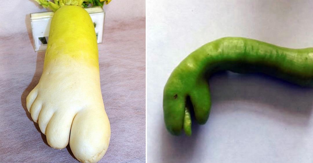 Ayak şeklinde turp yılan şeklinde biber: Biz neler yiyoruz b&ouml;yle!