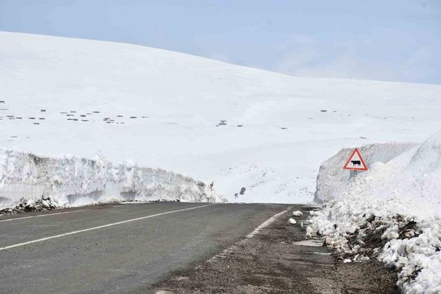 2581 rakımda arıcılardan yol a&ccedil;ma &ccedil;ağrısı 2