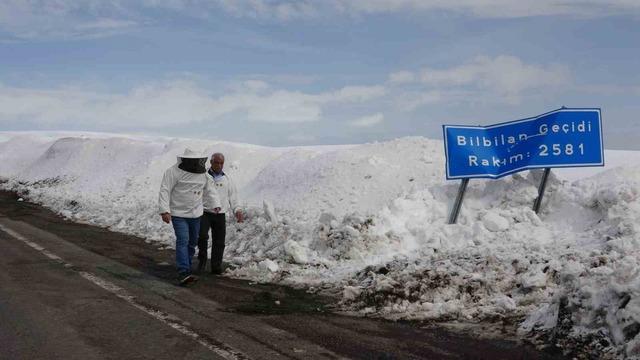 2581 rakımda arıcılardan yol a&ccedil;ma &ccedil;ağrısı 1