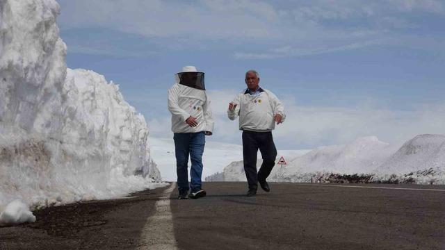2581 rakımda arıcılardan yol açma çağrısı
