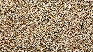 Sütü geride bıraktı! Kalsiyum deposu yeni besin belli oldu