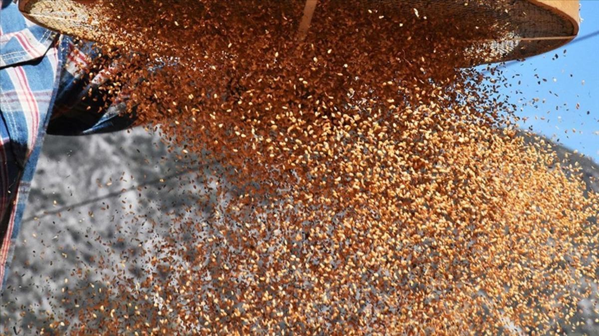 S&uuml;t&uuml; geride bıraktı! Kalsiyum deposu yeni besin belli oldu 2