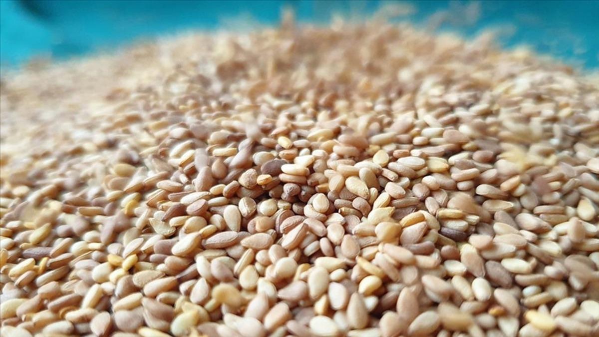 S&uuml;t&uuml; geride bıraktı! Kalsiyum deposu yeni besin belli oldu 1