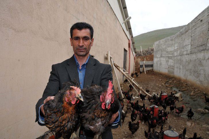 Gezen tavuk çiftliği kurdu! Şimdi talebe yetişemiyor G2