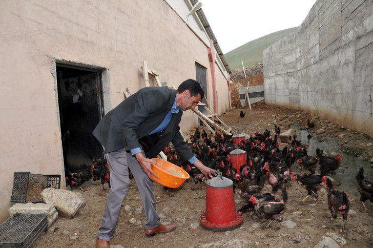 Gezen tavuk çiftliği kurdu! Şimdi talebe yetişemiyor G3