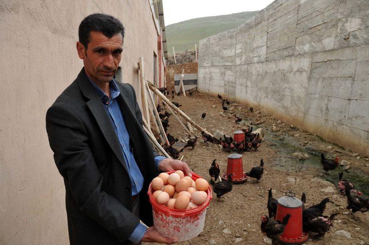 Gezen tavuk çiftliği kurdu! Şimdi talebe yetişemiyor G4