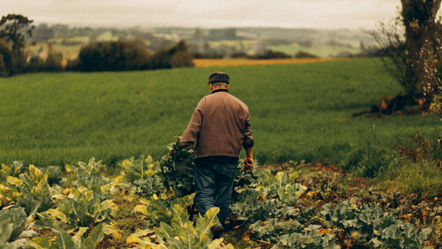 G&uuml;brede g&uuml;mr&uuml;k vergileri sıfırlandı