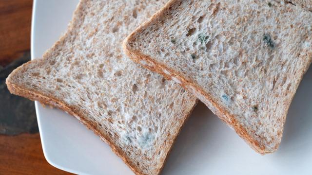 Küflü ekmeğin sadece üstünü almak yeterli mi? Uzmanlar net konuştu, işte gerçek...