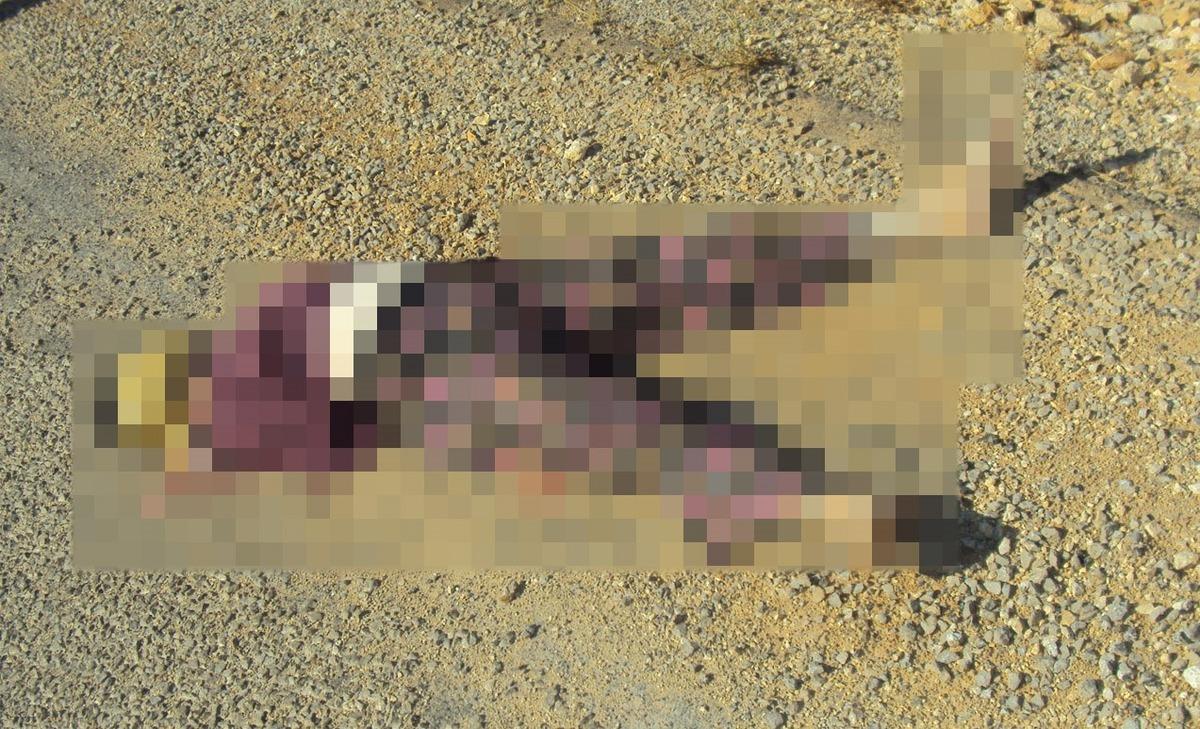 2 &ccedil;ocuk annesi kadın cinayete kurban gitmişti! Sır perdesi 15 yıl sonra &ccedil;&ouml;z&uuml;ld&uuml; 2