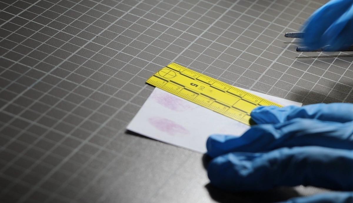 2 &ccedil;ocuk annesi kadın cinayete kurban gitmişti! Sır perdesi 15 yıl sonra &ccedil;&ouml;z&uuml;ld&uuml; 3