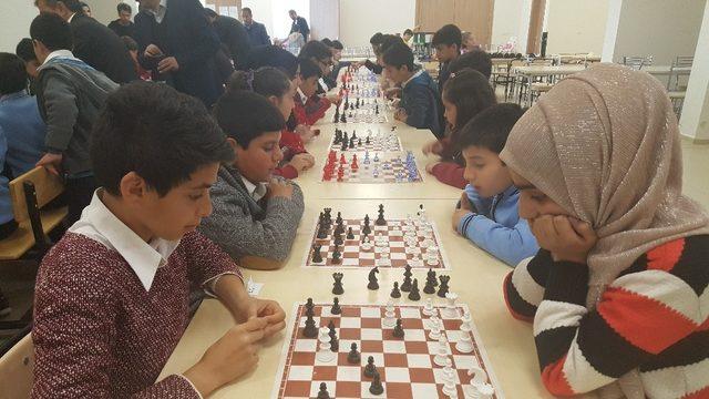Sincik’te satranç turnuvası düzenlendi