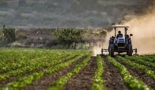 Mikro, k&uuml;&ccedil;&uuml;k ve orta &ouml;l&ccedil;ekli işletmelerin kırsal kalkınma projelerine hibe desteği
