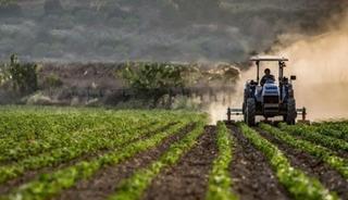 Mikro, k&uuml;&ccedil;&uuml;k ve orta &ouml;l&ccedil;ekli işletmelerin kırsal kalkınma projelerine hibe desteği
