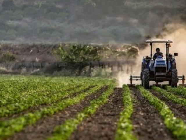 Mikro, k&uuml;&ccedil;&uuml;k ve orta &ouml;l&ccedil;ekli işletmelerin kırsal kalkınma projelerine hibe desteği