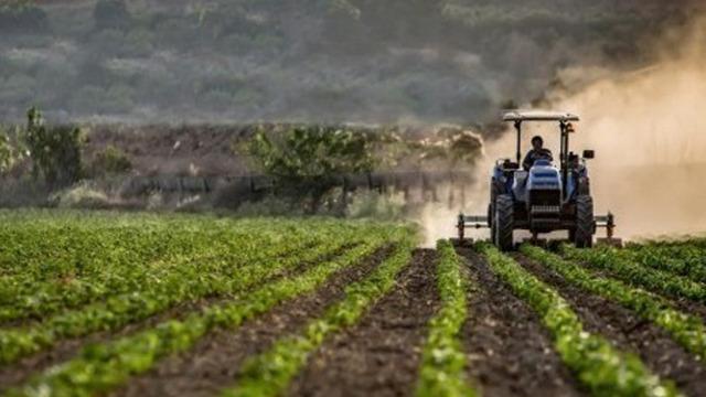 Mikro, küçük ve orta ölçekli işletmelerin kırsal kalkınma projelerine hibe desteği
