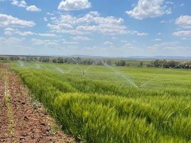 Bakan Yumaklı, sulama sistemlerine y&ouml;nelik yatırımlara ilişkin destekleri değerlendirdi: