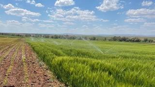 Bakan Yumaklı, sulama sistemlerine yönelik yatırımlara ilişkin destekleri değerlendirdi: