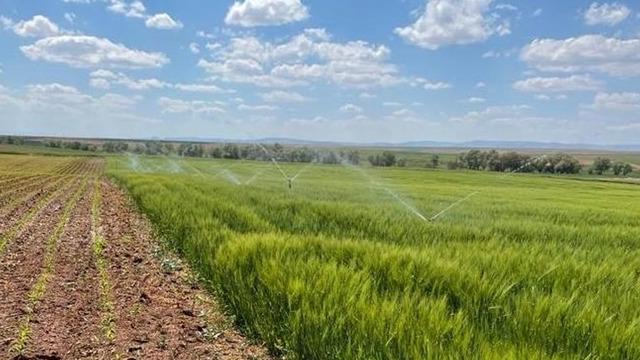 Bakan Yumaklı, sulama sistemlerine yönelik yatırımlara ilişkin destekleri değerlendirdi: