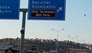 Kuşadası&rsquo;nda leylekler geri d&ouml;nd&uuml;