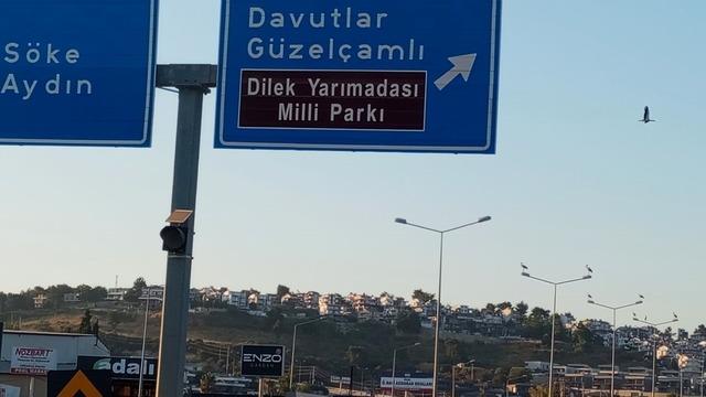 Kuşadası’nda leylekler geri döndü