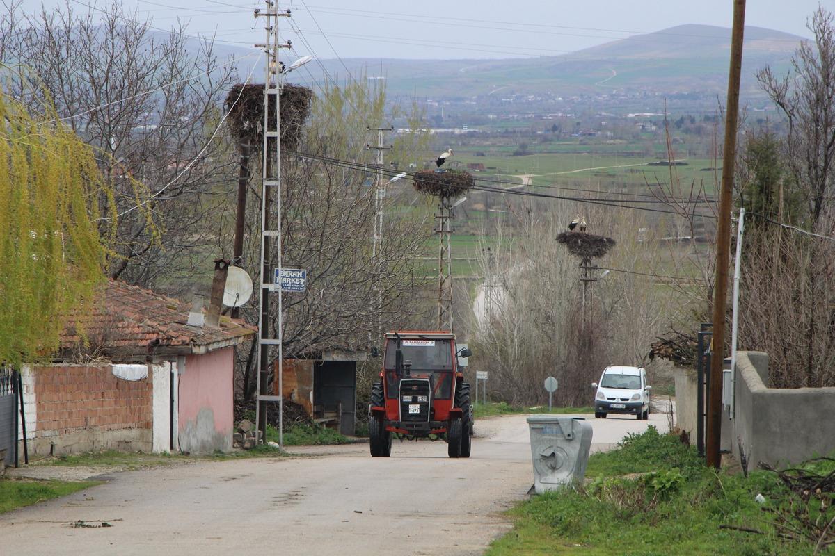 Bu k&ouml;y leyleklere  Saygılı : B&uuml;t&uuml;n elektrik direkleri yuva oldu, tedbirler alındı 1