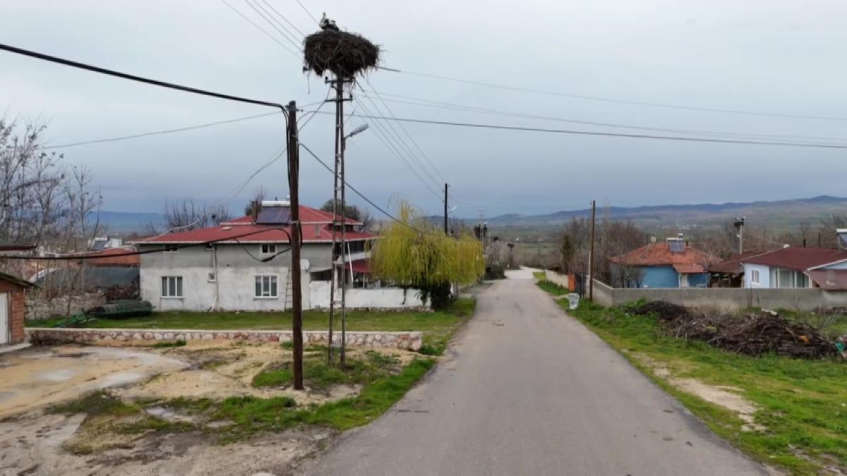 Bu k&ouml;y leyleklere  Saygılı : B&uuml;t&uuml;n elektrik direkleri yuva oldu, tedbirler alındı 4
