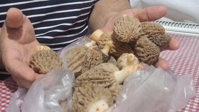 Dağda kendiliğinden yetişiyor! Doğanın eti olarak biliniyor: Tezgahlarda kapış kapış