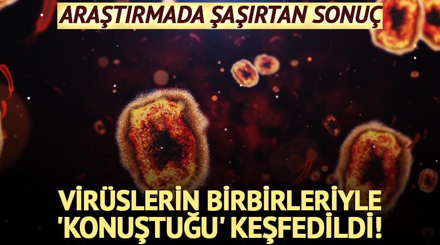 Vir&uuml;slerin birbirleriyle 'konuştuğu' keşfedildi!