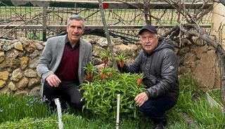 G&ouml;zleri gibi koruyorlar! Dokunması bile yasak