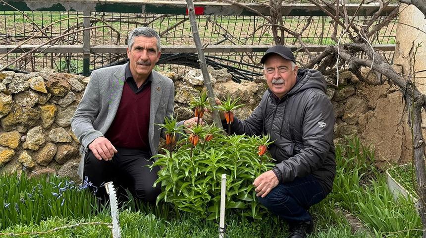 G&ouml;zleri gibi koruyorlar! Dokunması bile yasak: Koparmanın cezası 700 bin TL!