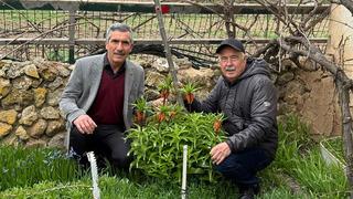 Gözleri gibi koruyorlar! Dokunması bile yasak: Koparmanın cezası 700 bin TL!