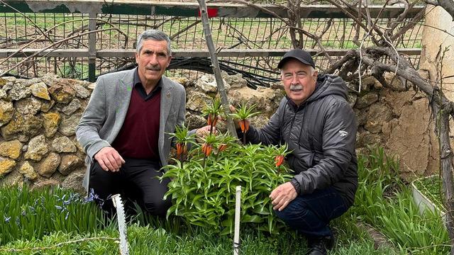 Gözleri gibi koruyorlar! Dokunması bile yasak: Koparmanın cezası 700 bin TL!