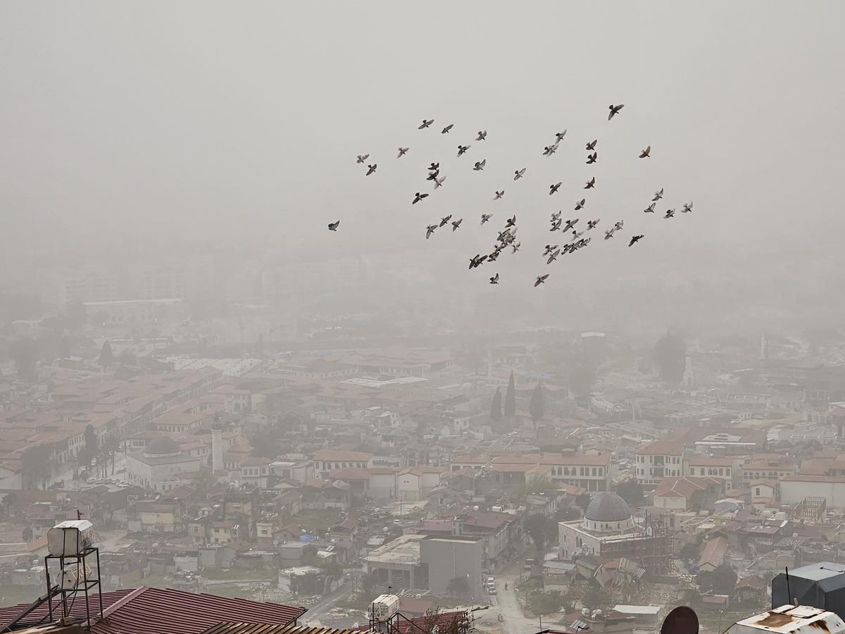 Hatay da toz taşınımı yaşamı olumsuz etkiliyor 2