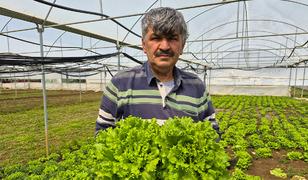 Tarlada 20 TL, tezgahta 100 TL'yi buluyor! Marulda fiyat u&ccedil;urumu